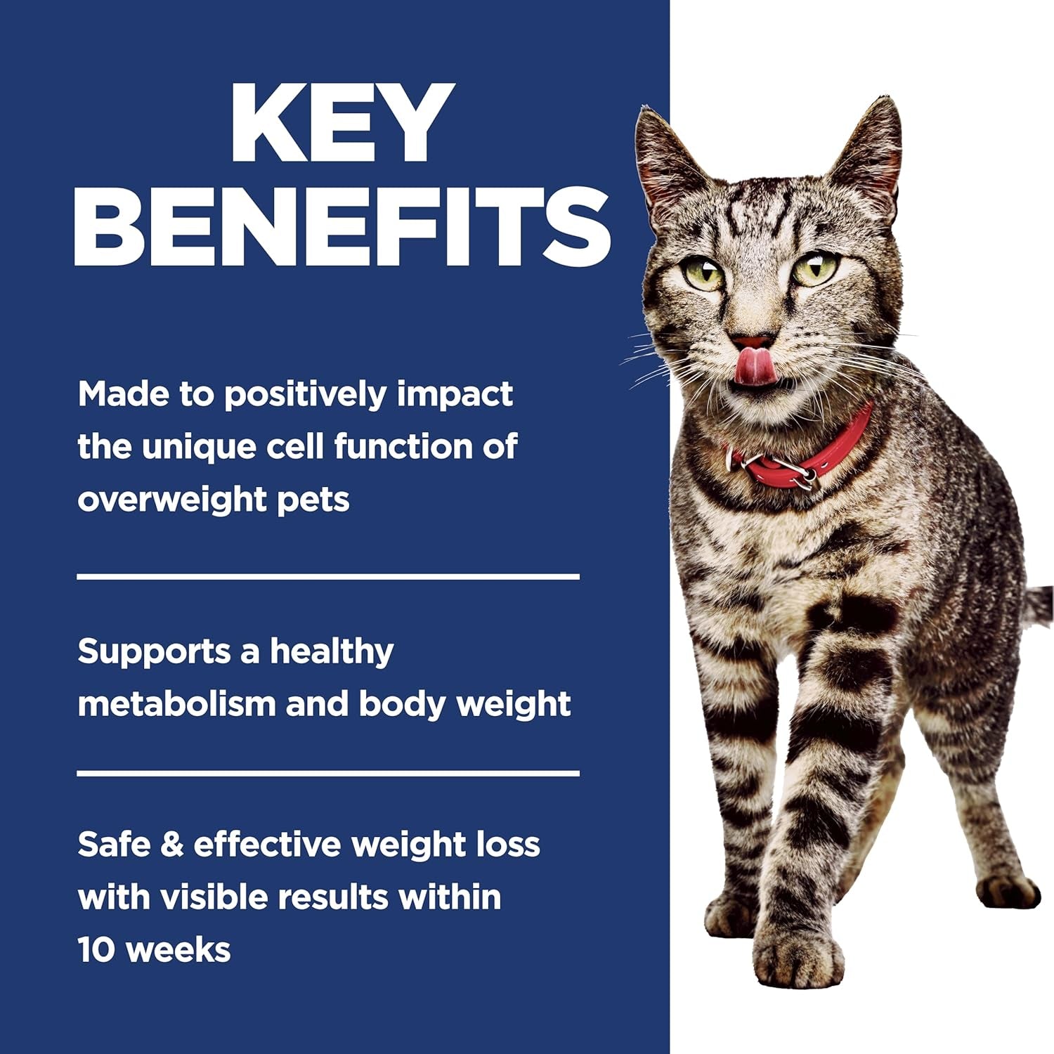 hills-science-diet-adult-perfect-weight-dry-cat-food-1-veterinarian-recommended-chicken-recipe-7-lb-bag