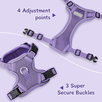 Small Dog Harness and Leash Set, Adjustable Small Sized Pet Vest | Reflective Soft Breathable Mesh, 3 Buckles, Adjustable Neck and Chest, Easy on and Comfortable Secure Walking, Purple, S3