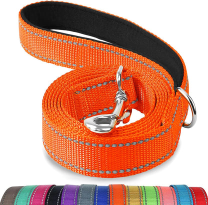 Joytale Reflective Dog Leash for Medium & Large Dogs, 6 FT X 1", Black | Heavy Duty Nylon Webbing, Padded Handle for Comfort, Visible at Night, for Walking & Training9