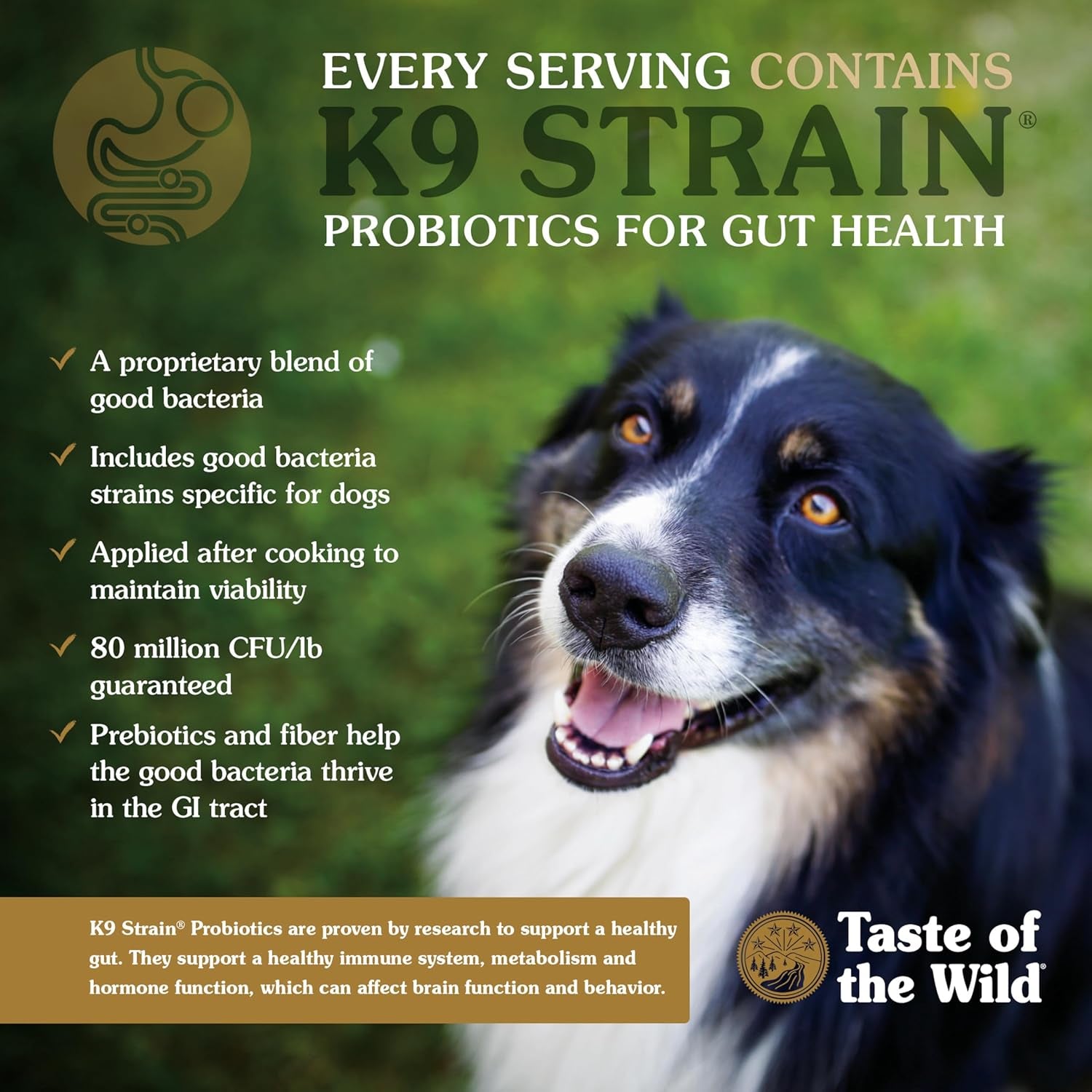 taste-of-the-wild-high-prairie-canine-grain-free-recipe-with-roasted-bison-and-venison-adult-dry-dog-food-made-with-high-protein-from-real-meat-and-guaranteed-nutrients-and-probiotics-28lb-high-protein-grain-free-recipe-nutrient-dense-to-help-support-peak-health-guaranteed-probiotics-for-digestive-health