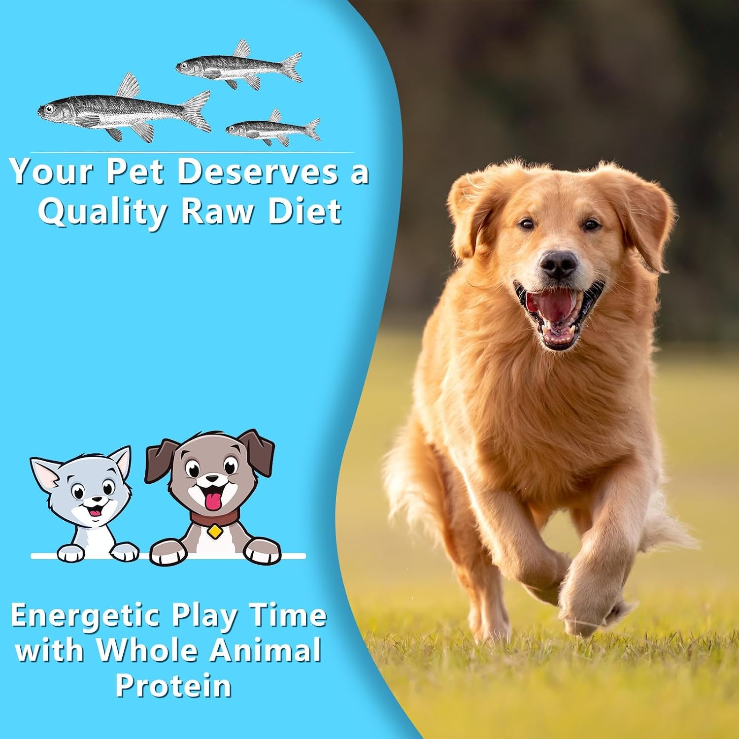 minnows-dog-treats-single-ingredient-dried-minnows-for-dogs-cats-air-dried-grain-free-high-protein-100-natural-premium-cat-dog-treats-4-5-oz
