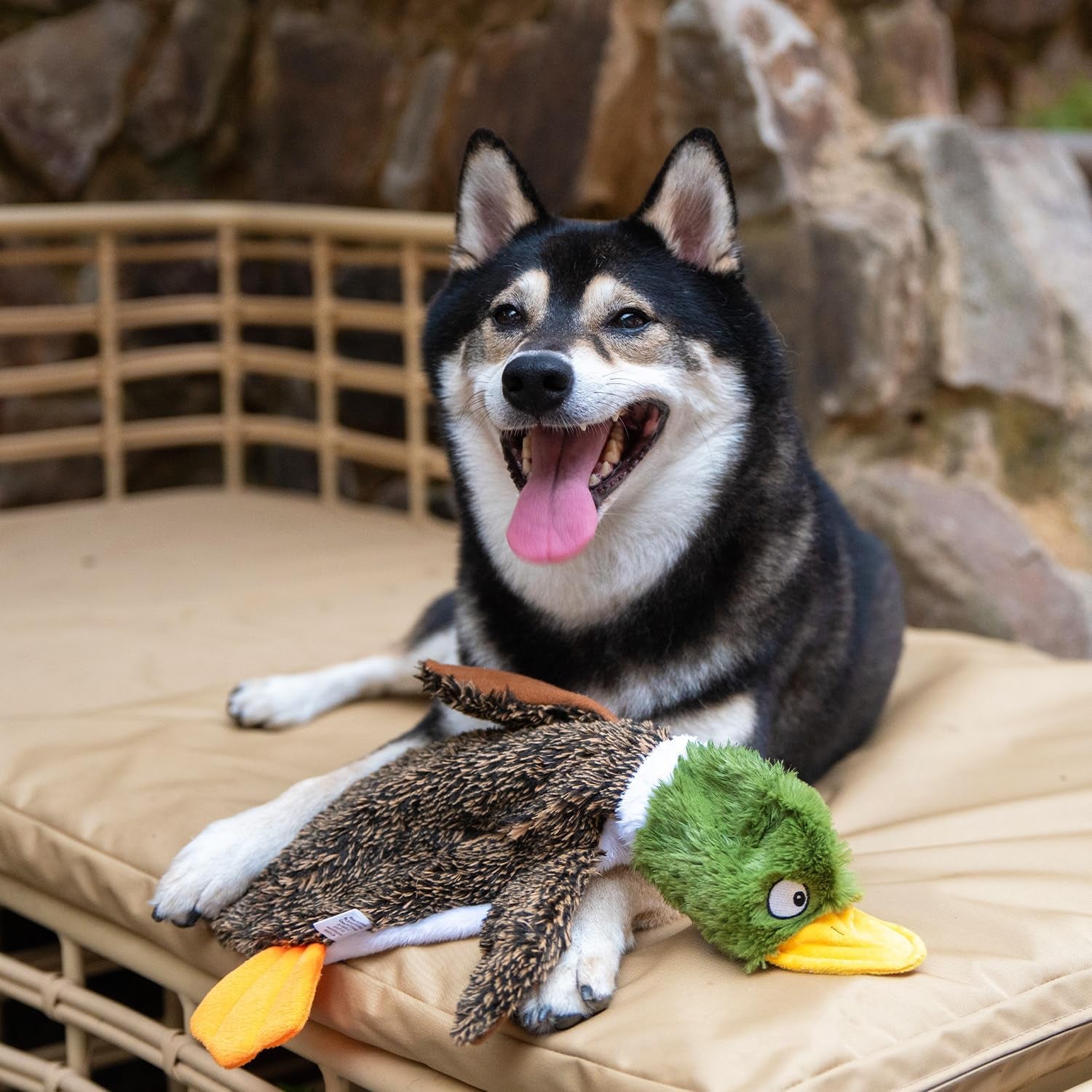 best-pet-supplies-squeaky-dog-toys-with-soft-durable-fabric-for-small-medium-and-large-pets-interactive-toy-for-indoor-play-supports-active-biting-and-play-1wild-duck-small