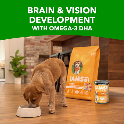 IAMS Proactive Health Puppy Wet Dog Food, Chicken, 13 Oz, 12 Pack | Real Chicken, Omega-3 DHA for Brain & Vision, Omega-6 for Skin & Coat, No Fillers or Artificial Flavors, Puppies 1-12 Months10