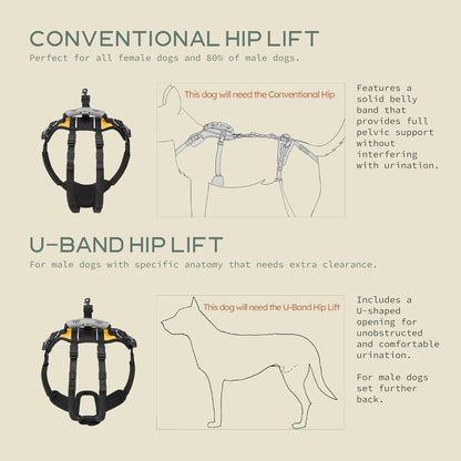 Help 'Em Up® - Dog Lift Harness│ Adjustable Lifting Harness for Dogs │ Full Body Support, Rear Leg Support (Conventional, Medium, 45-80 Lbs)2