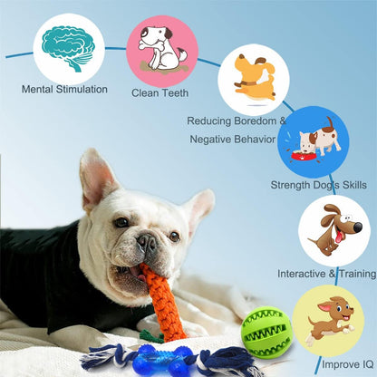 Beiker Dog Teething Chew Toys - 15 Pack Small Medium Breed Puppy Toy, Variety Dogs Rope Chew Toys Bundle for Boredom, Pet Interactive Squeaky Treat Dispensing Ball for Puppies3