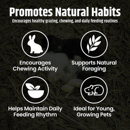 High Desert Alfalfa Hay, Protein Rich Soft Leaf Food for Young Growing Animals, Natural Rabbit Food and Guinea Pig Hay, Supports Digestive Health, Small Pet Supplies, Fresh Hand Packed 5 Lb Box | Protein Rich Soft Leaf Forage, Ideal for Growing Kits and Nursing Mothers, Great Calcium Source, Hand Packed, Low Dust3
