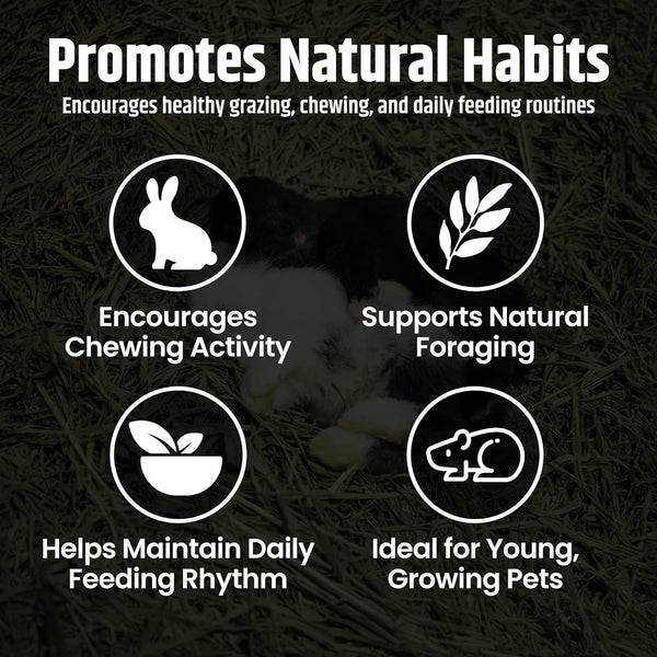 High Desert Alfalfa Hay, Protein Rich Soft Leaf Food for Young Growing Animals, Natural Rabbit Food and Guinea Pig Hay, Supports Digestive Health, Small Pet Supplies, Fresh Hand Packed 5 Lb Box | Protein Rich Soft Leaf Forage, Ideal for Growing Kits and Nursing Mothers, Great Calcium Source, Hand Packed, Low Dust3