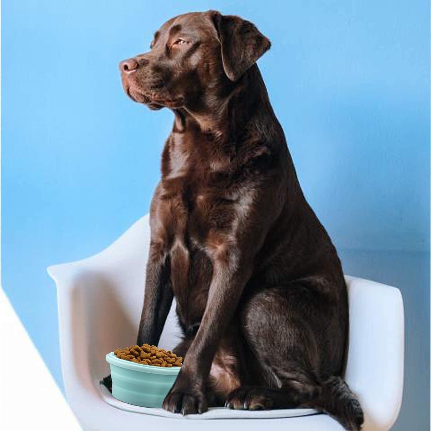 luter-2-pieces-collapsible-dog-bowls-silicone-food-water-travel-foldable-bowl-with-lids-portable-expandable-pet-feeding-watering-cup-dish-for-walking-kennels-camping-350ml-12x12x3cm-pink-blue