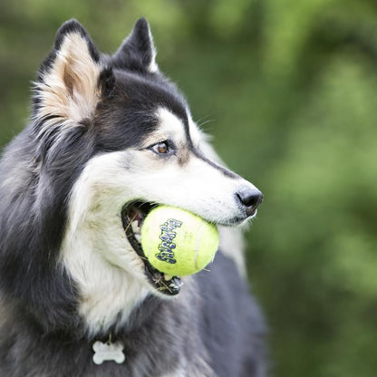 Kong Squeakair Dog Toy Tennis Ball - Medium, X 94