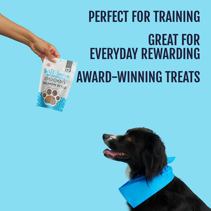 Snif-Snax Salmon Bites Dog Treats 3 Pack, All Natural Human-Grade Training Treats for Dogs, Healthy Grain-Free Puppy & Adult Rewards, Protein Rich Soft Salmon Snacks2
