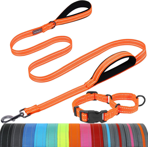 VIVAGLORY Double Handle Dog Leash Twingrip, 6Ft X 1In, Navy | Dog Leash for Collar with Traffic Handle & 2 Loop for Walking & Training, Traffic Control Reflective Heavy Duty Puppy Pet37