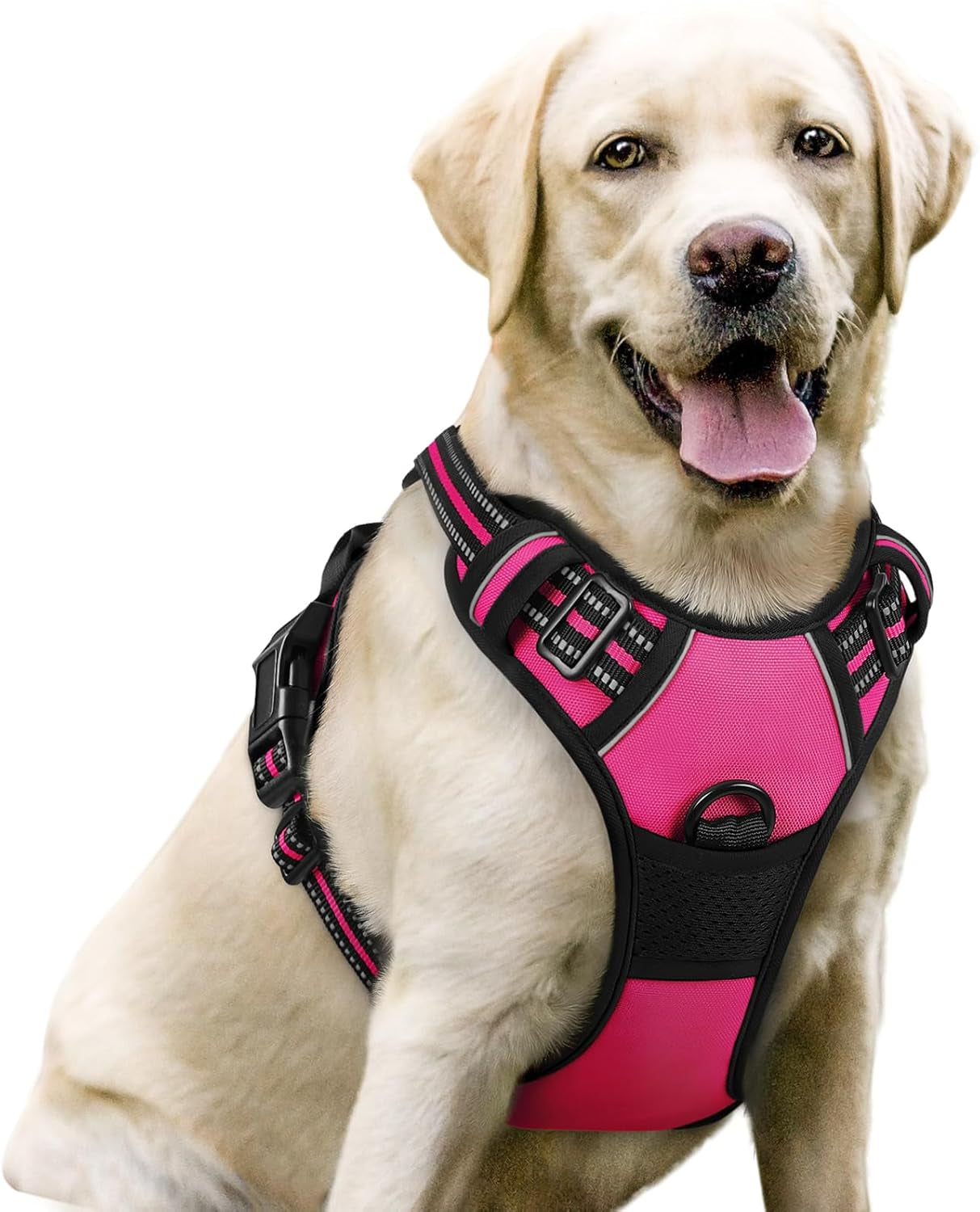 rabbitgoo-dog-harness-no-pull-for-large-dogs-with-2-leash-clips-pet-vest-no-choke-with-handle-adjustable-soft-padded-reflective-easy-control-for-walking-black-large