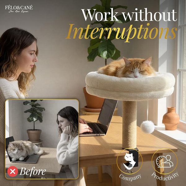 FÉLO&CANÉ Desk Cat Bed with Scratching Post & Toy Ball – Space-Saving Clamp-On Cat Hammock for Desk, Elevated Cat Perch for Work-From-Home, Sturdy Metal Frame, Soft Plush Cushion (Up to 11 Lbs)3