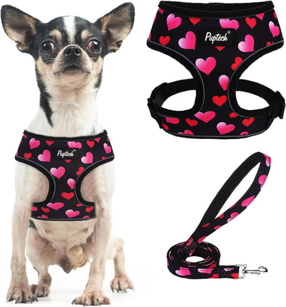 PUPTECK Soft Mesh Dog Harness Small Sized and Leash Set Pet Puppy Cat Comfort Padded Vest No Pull Harnesses, Beige, S20