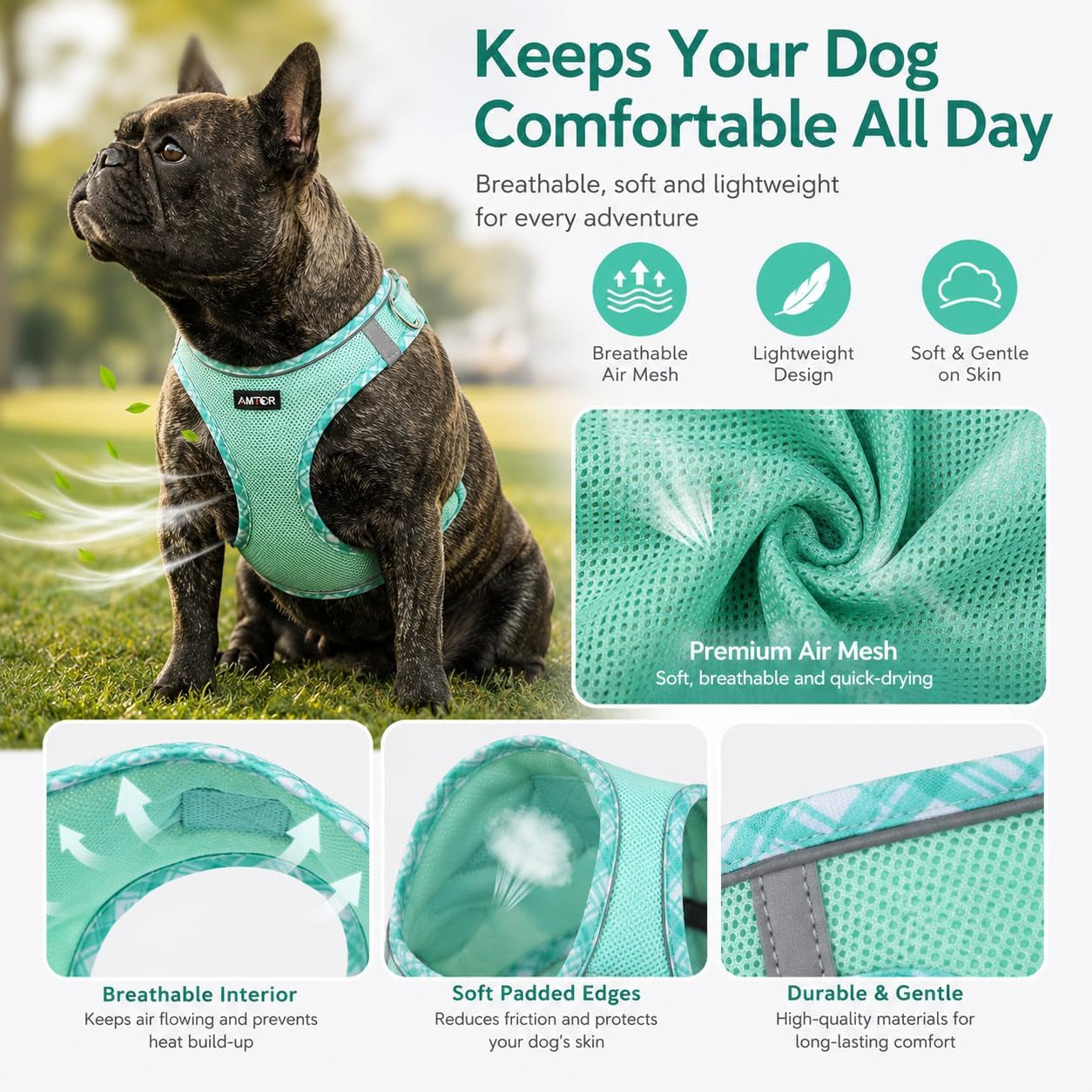 amtor-small-dog-harness-with-leash-set-no-escape-easy-walk-puppy-harnesses-for-training-walking-step-in-reflective-soft-dogs-vest-for-xs-s-medium-extra-small-large-sized-doggreen-s
