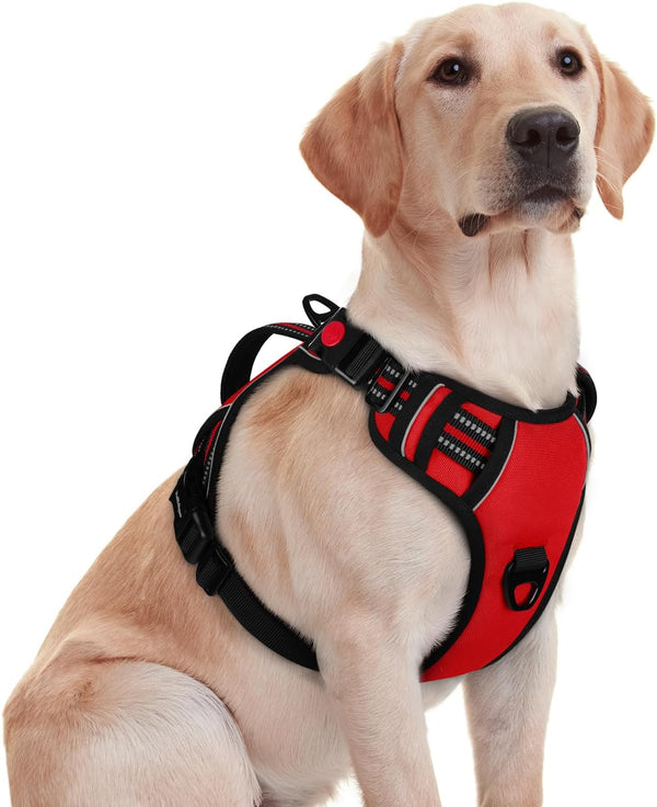 Rabbitgoo Large Dog Harness, Easy Wear with 3 Buckles and Lift Handle | No Pull with Front Clip for Walking, Adjustable Soft Padded, Reflective, Easy Control, Pink, Large20