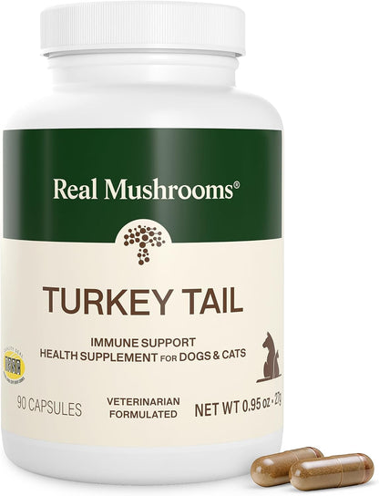 Real Mushrooms Turkey Tail Capsules for Pets –Cat Probiotics & Dog Vitamins – Organic Mushroom Supplement for Dogs & Cats – Supports Daily Balance & Well-Being Non-Gmo, 90 Ct | Daily Balance and Well-Being Support, Organic Turkey Tail Extract, Non-Gmo, Pet Mushroom Supplement, for Dogs and Cats1