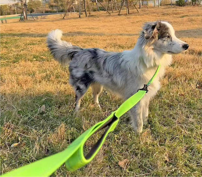 3 Handle Dog Leash 10FT Triple Handle Reflective Large Medium Dog | Multi Handles Heavy Duty Training Lead with Padded Traffic Handles for Control and Safety8