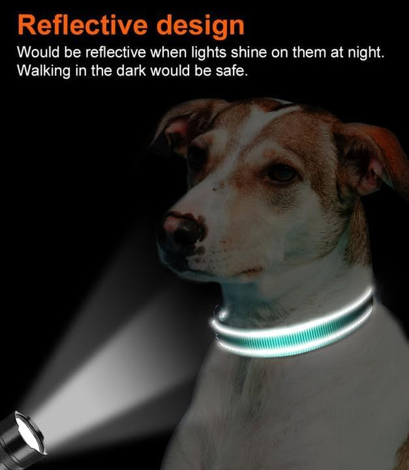 joytale-reflective-dog-collar-adjustable-neoprene-padded-teal-l-breathable-nylon-for-large-dogs-no-chafing-on-walks-and-outdoor-hikes-tear-resistant-webbing-metal-d-ring-night-safety