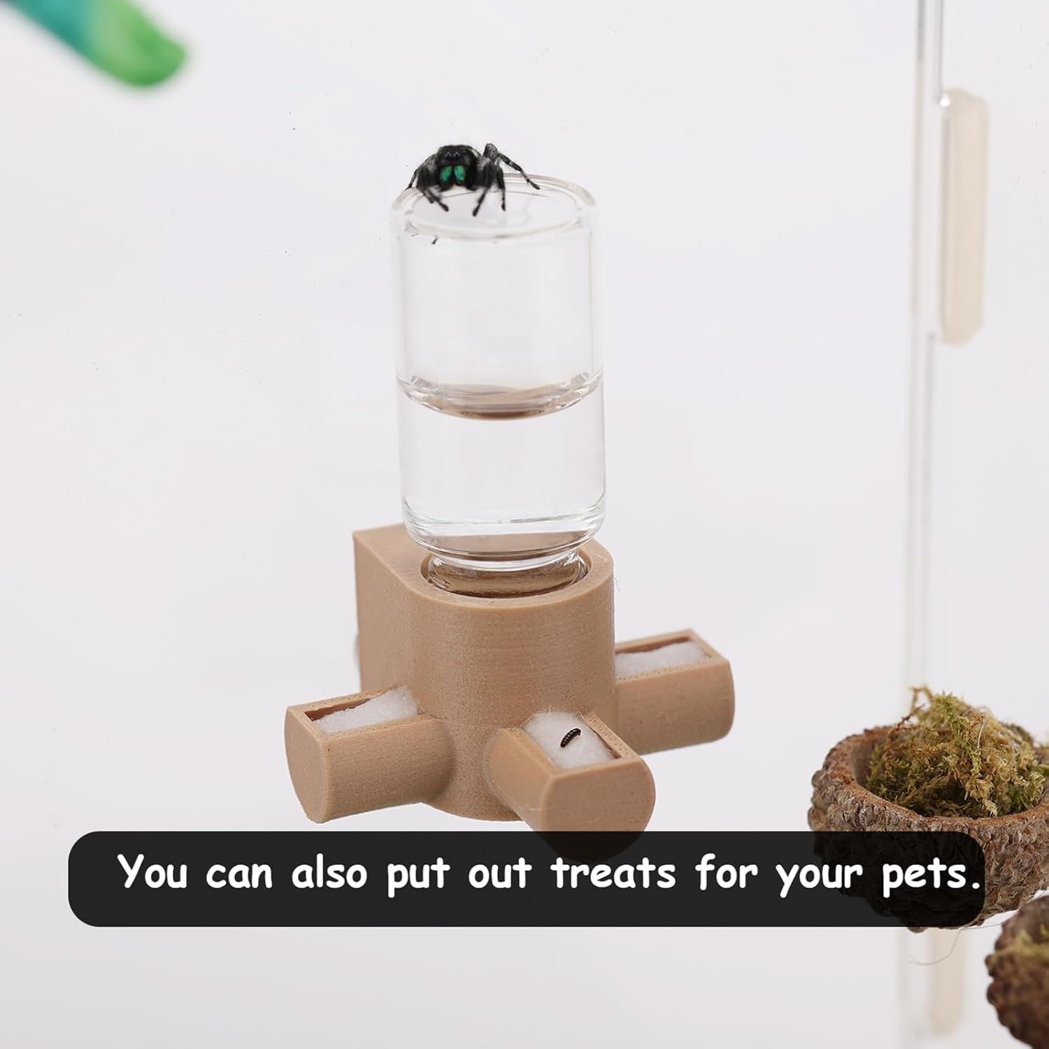 jumping-spider-water-dispenser-magnetic-hanging-feeder-suitable-for-jumping-spiders-tarantulas-praying-mantises-arboreal-animals-and-other-small-animal-enclosure-accessories-5ml-wooden