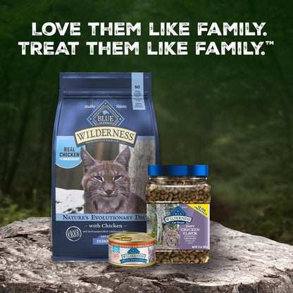 Blue Buffalo Wilderness Tasty Chicken Crunchy Cat Treats, Grain-Free Cat Treats, Real Chicken, Natural Ingredients, Enhanced with Vitamins, Minerals & Other Nutrients, Great for Training, Tub 12 Oz.7