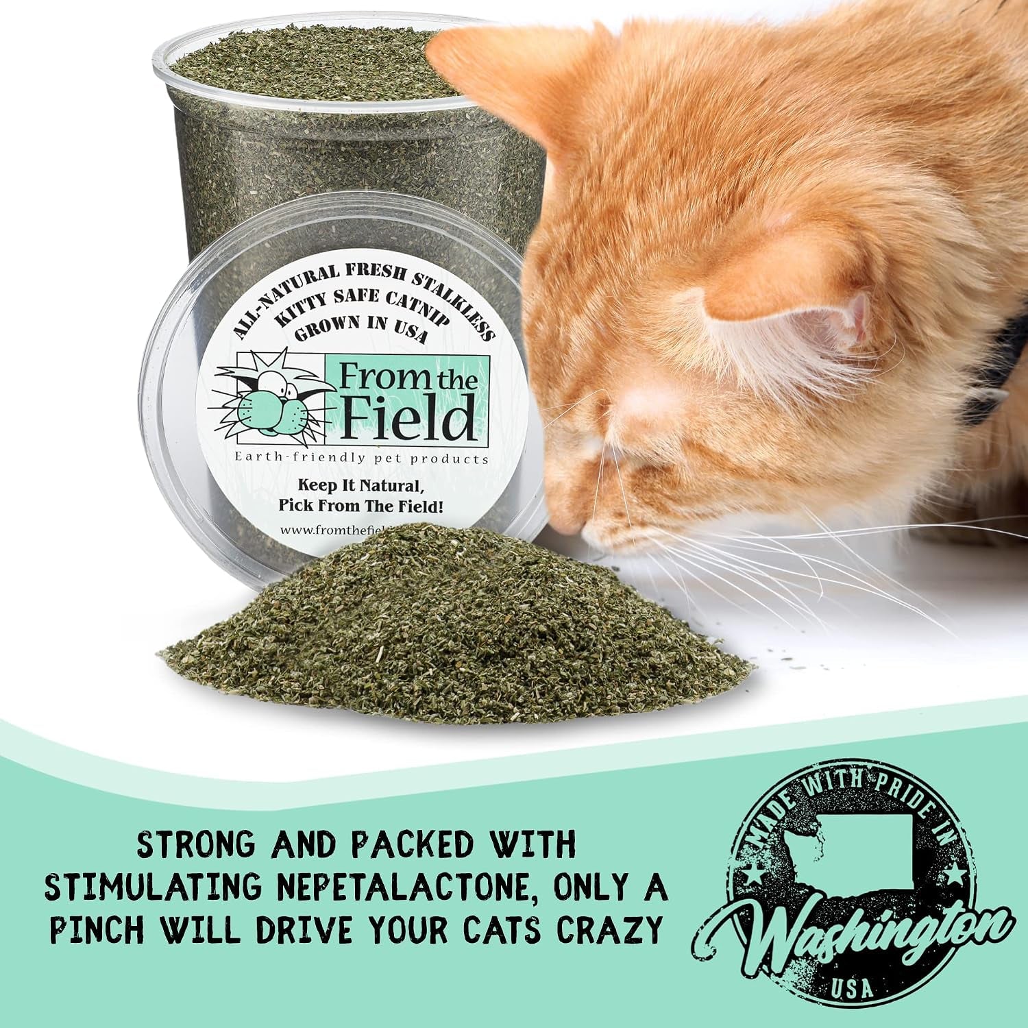from-the-field-fine-ground-stalkless-catnip-premium-usa-grown-catnip-for-toys-playtime-fresh-potent-non-toxic-eco-friendly-safe-for-kittens-cats-resealable-6-oz-tub