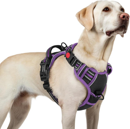 Rabbitgoo Dog Harness Medium Sized, Updated Easy on & off with 3 Buckles | No Pull No Choke, Walking with 2 Clips and Handle, Adjustable Soft Reflective, Blue, Medium42