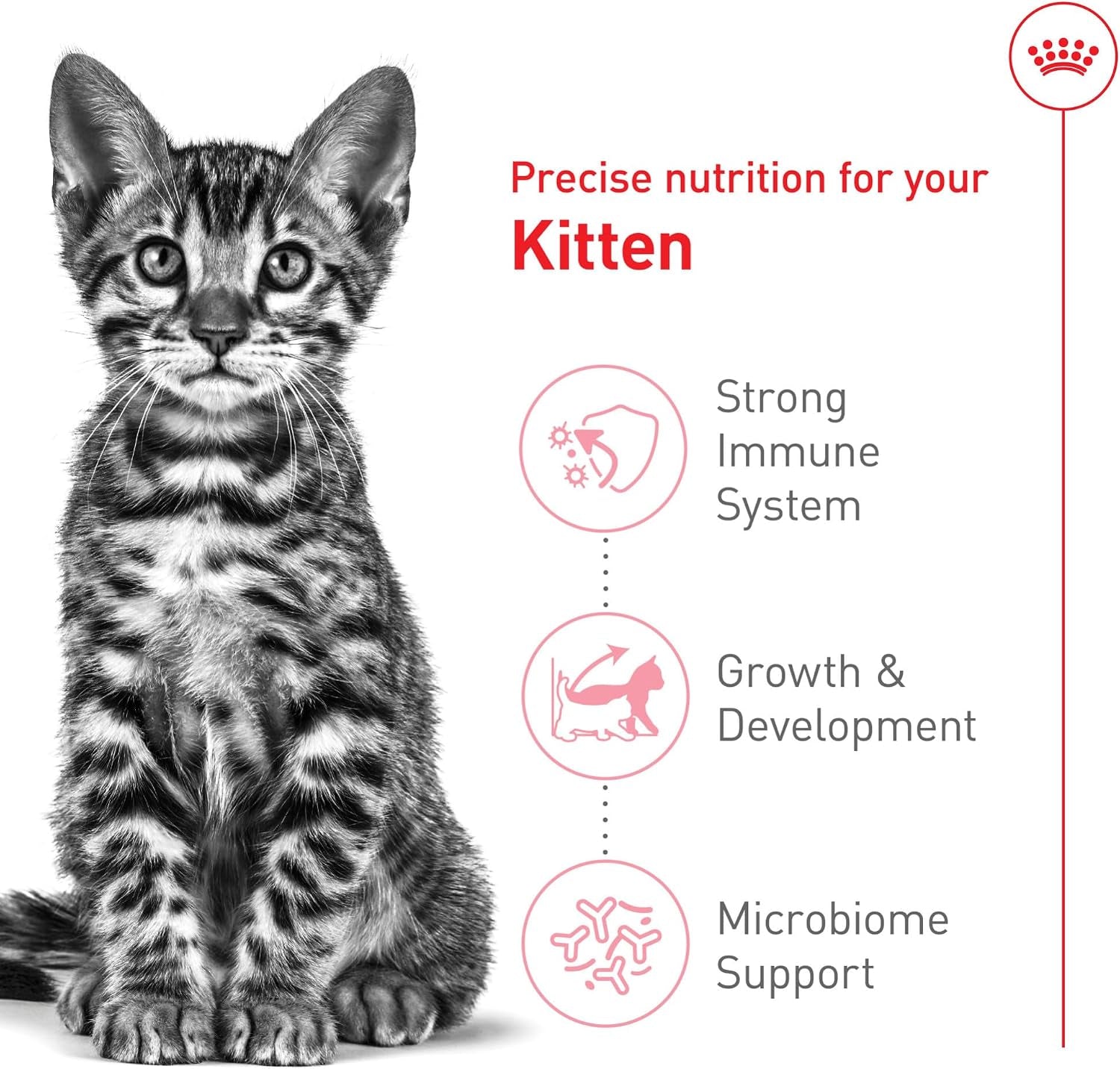 royal-canin-feline-health-nutrition-spayed-neutered-kitten-dry-cat-food-2-5-lb-bag