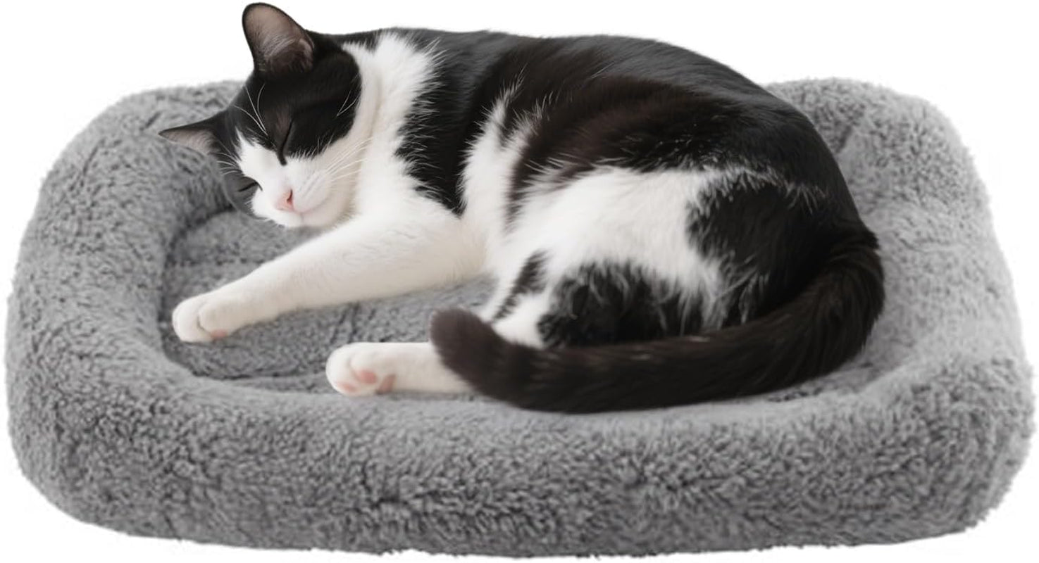 small-cat-bed-mat-plush-pet-cushion-15-x-10-cat-pad-with-pillow-around-for-indoor-pets-puppy-curl-sleep-self-warming-mat-for-crate-carrier-outdoor-pet-houses-non-slip-bottom-small