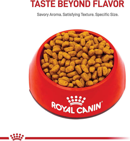 ROYAL CANIN Breed Health Nutrition Maltese Adult Dry Dog Food, 2.5 Lb Bag2