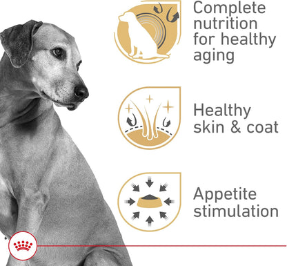 ROYAL CANIN Canine Health Nutrition Mature Mature in Gel Dog Food, 13.5 Oz (Pack of 12)2