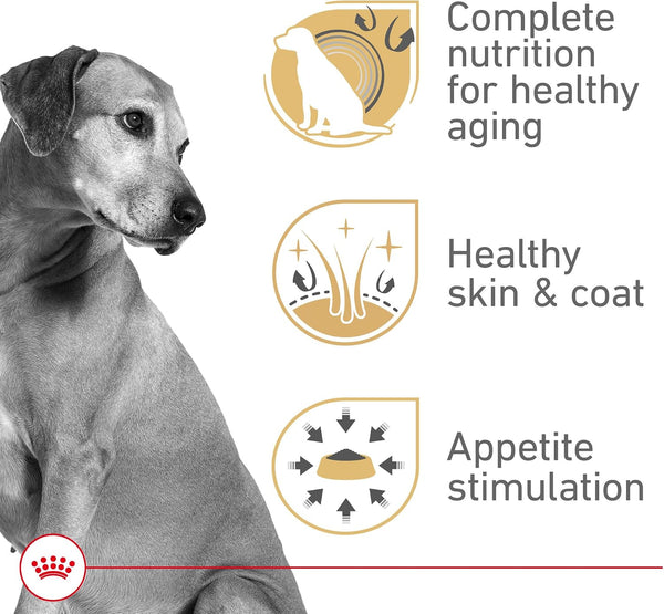ROYAL CANIN Canine Health Nutrition Mature Mature in Gel Dog Food, 13.5 Oz (Pack of 12)2