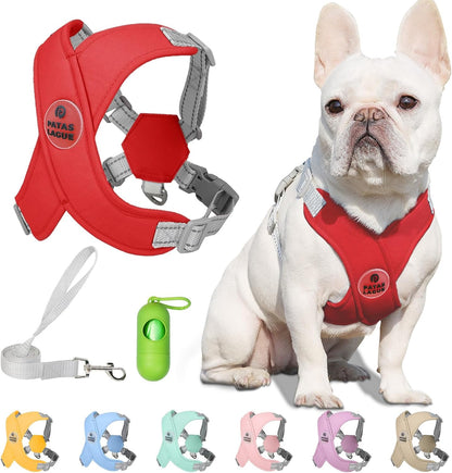 Patas Lague Dog Harness with Leash Set Adjustable Soft Padded Step-In Dog Vest No Choke No Pull Reflective for Small Medium Pets with Poop Bags and Dispenser, Solid and No-Chew, Pink M10
