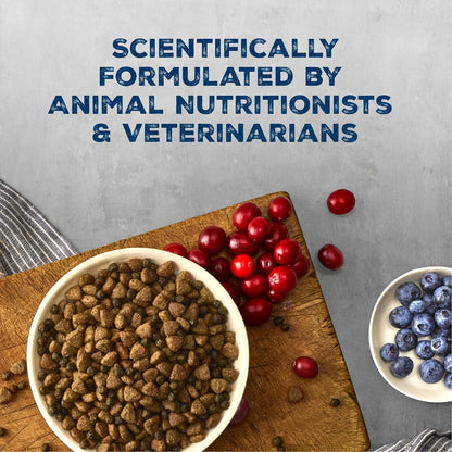 Blue Buffalo Wilderness Chicken Small Breed Adult Dry Dog Food with Wholesome Grains + Antioxidant-Rich Fruits & Veggies, 41G Protein, Supports High Energy Needs, Natural Ingredients, 4.5 Lbs.6