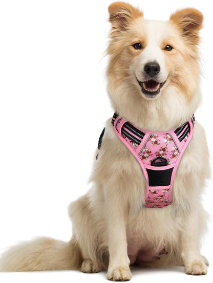 Rabbitgoo Dog Harness, No Pull for Large Dogs with 2 Leash Clips, Pet Vest | No Choke with Handle, Adjustable Soft Padded, Reflective, Easy Control for Walking, Black, Large124