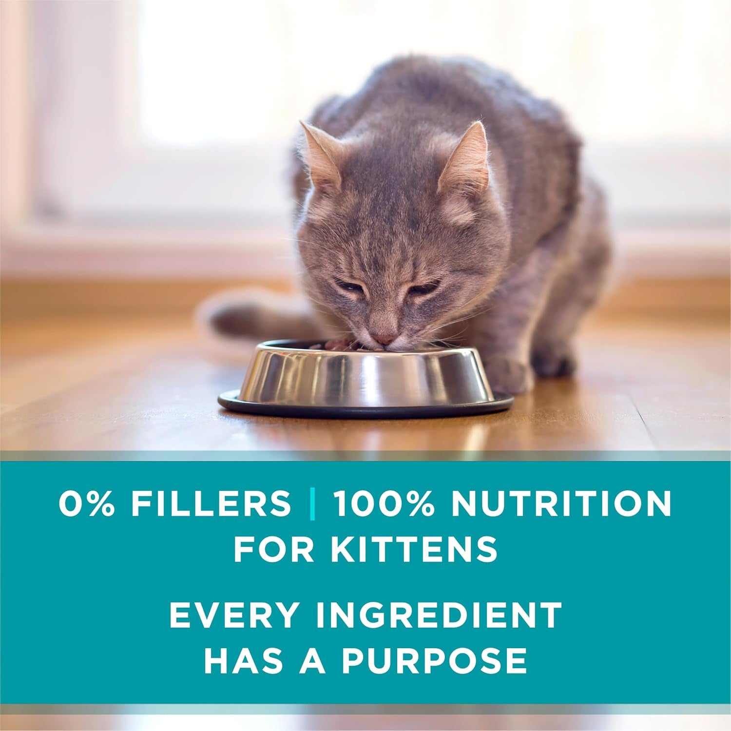 purina-one-grain-free-natural-pate-wet-kitten-food-healthy-kitten-chicken-salmon-recipe-pack-of-24-3-oz-pull-top-cans