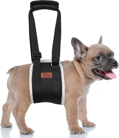 Adjustable Dog Lift Harness Dog Sling for Large Dogs Hind Leg Support Soft Lift Support and Rehab Harness for Weak Rear Legs, Helps Senior, Injured, Disabled and after ACL Surgery Dogs Large16