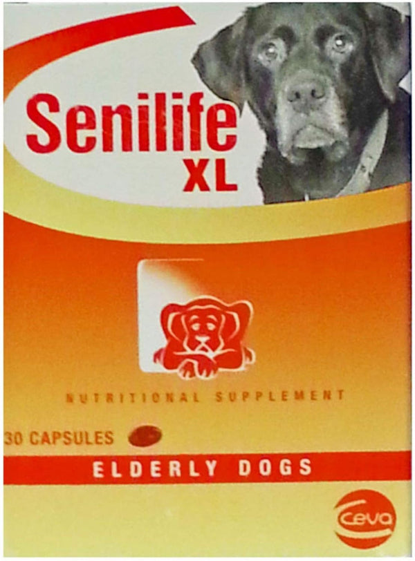 Senilife XL Cognitive Support Capsules for Senior Dogs, Brain Health & Cognitive Function Supplement for Large Breeds, Supports Memory, Learning & Mental Alertness, 30 Capsules1