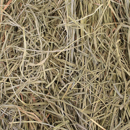 Grandpa'S Best Premium Orchard Grass Hay for Rabbits, Guinea Pigs, Chinchillas, Hamsters & Gerbils, 20Lb Loose Boxed, Brown3
