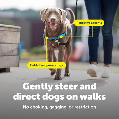 Petsafe Easy Walk Deluxe Dog Harness, No Pull Dog Harness – Perfect for Leash & Harness Training – Stops Pets from Pulling and Choking on Walks – Medium, Ocean6