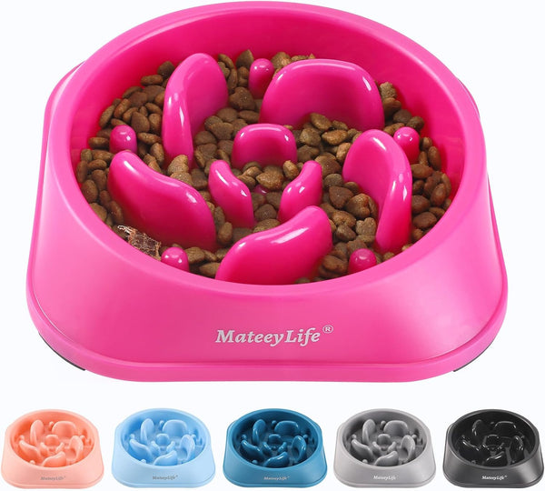 Mateeylife 2-Pack Slow Feeder Dog Bowls, 2 Cups, Dog Puzzle Feeder Bowl | Food-Contact Safe, Dishwasher Safe, Non-Slip Base, Maze Design, for Fast Eaters, for Dogs and Cats, Daily Mealtimes19