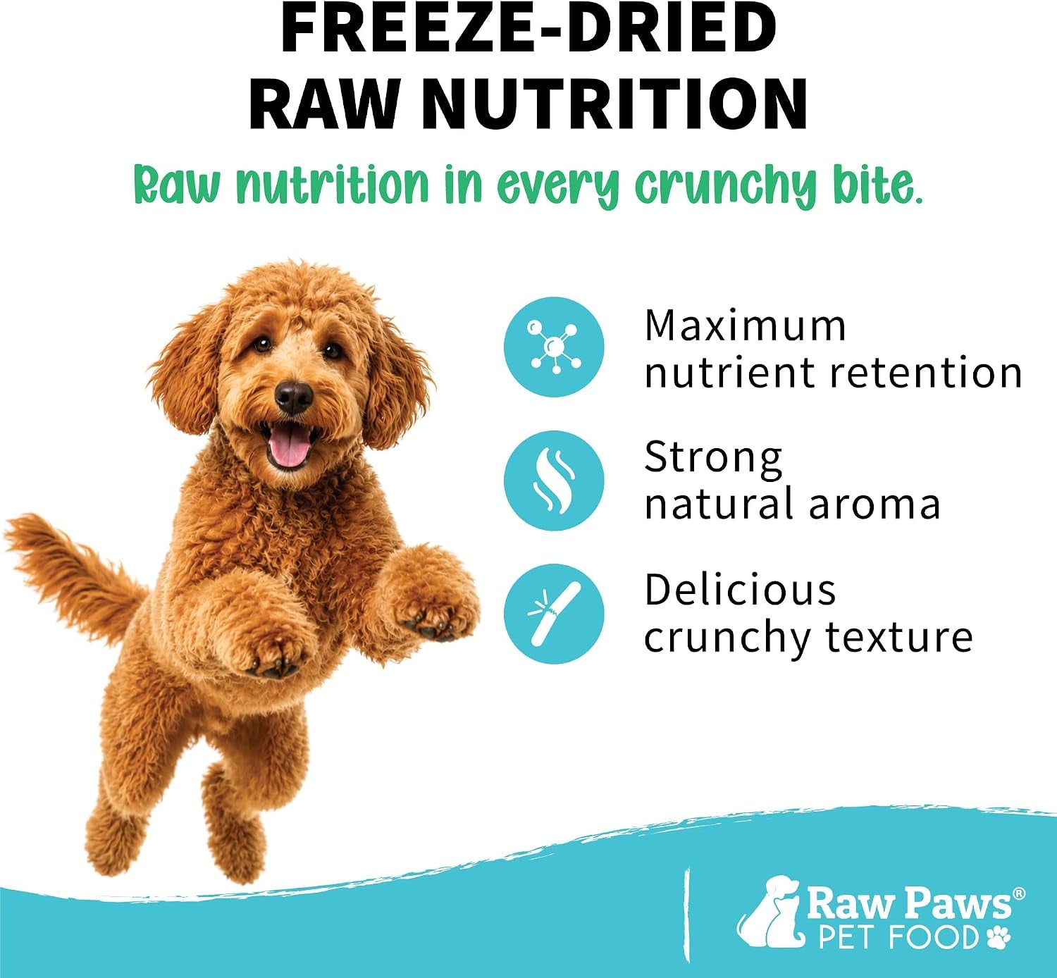 raw-paws-freeze-dried-minnows-for-cats-dogs-2-oz-made-in-usa-single-ingredient-fish-treats-for-dogs-freeze-dried-fish-for-cats-minnow-dog-treats-no-fillers-additives