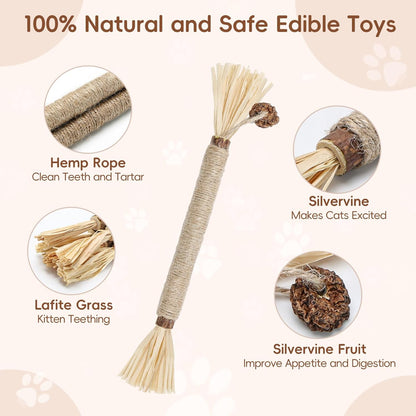 5 Pack Silvervine Sticks Cat Toys, Natural Chew Kitten Teething Toys for Cleaning, Matatabi Catnip Treat Toys, Catmint Silver Vine Sticks for Bored Indoor Kitty2
