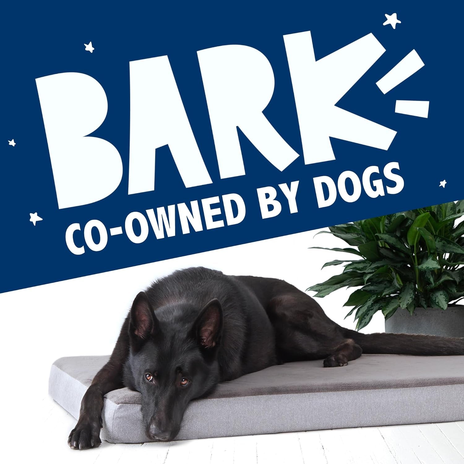 barkbox-orthopedic-dog-bed-large-with-memory-foam-comfortable-durable-machine-washable-pet-bed-grey