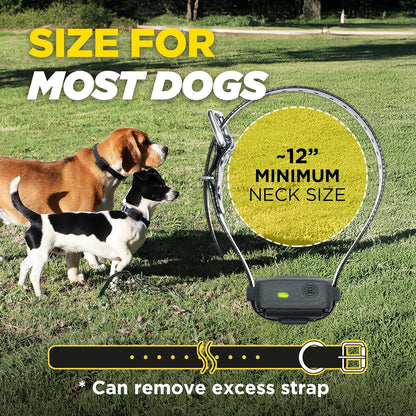 Dogtra Iq Vibe Vibration Only No Bark Collar: 4X Stronger HPP Vibration, IPX9K Waterproof, Precision Sensor, Rechargeable7