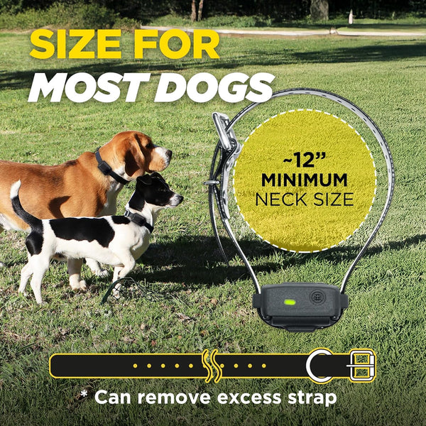 Dogtra Iq Vibe Vibration Only No Bark Collar: 4X Stronger HPP Vibration, IPX9K Waterproof, Precision Sensor, Rechargeable7