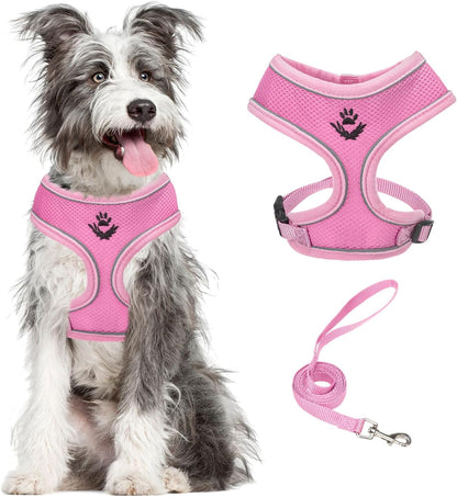 PUPTECK Soft Mesh Dog Harness Small Sized and Leash Set Pet Puppy Cat Comfort Padded Vest No Pull Harnesses, Beige, S59