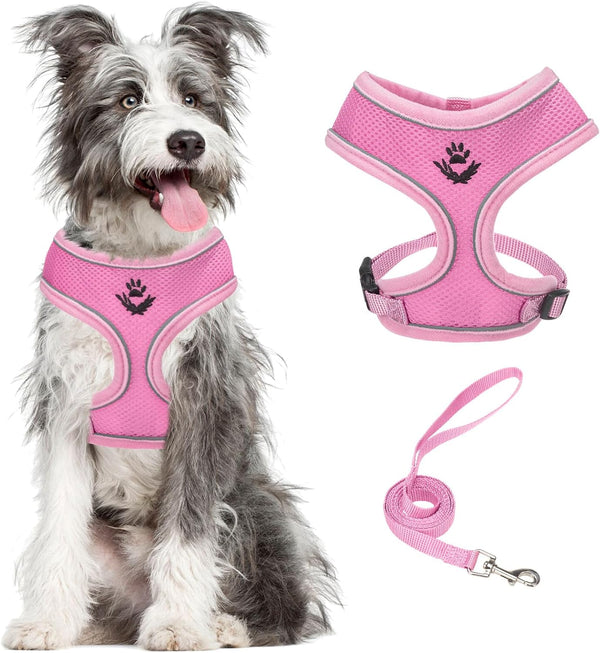 PUPTECK Soft Mesh Dog Harness Small Sized and Leash Set Pet Puppy Cat Comfort Padded Vest No Pull Harnesses, Beige, S59