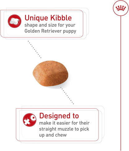 ROYAL CANIN Breed Health Nutrition Golden Retriever Puppy Dry Dog Food, 30 Lb Bag | Specialized Nutrition for Growth, Supports Healthy Skin and Coat, Antioxidant-Rich Recipe, 30 Pound Bag4