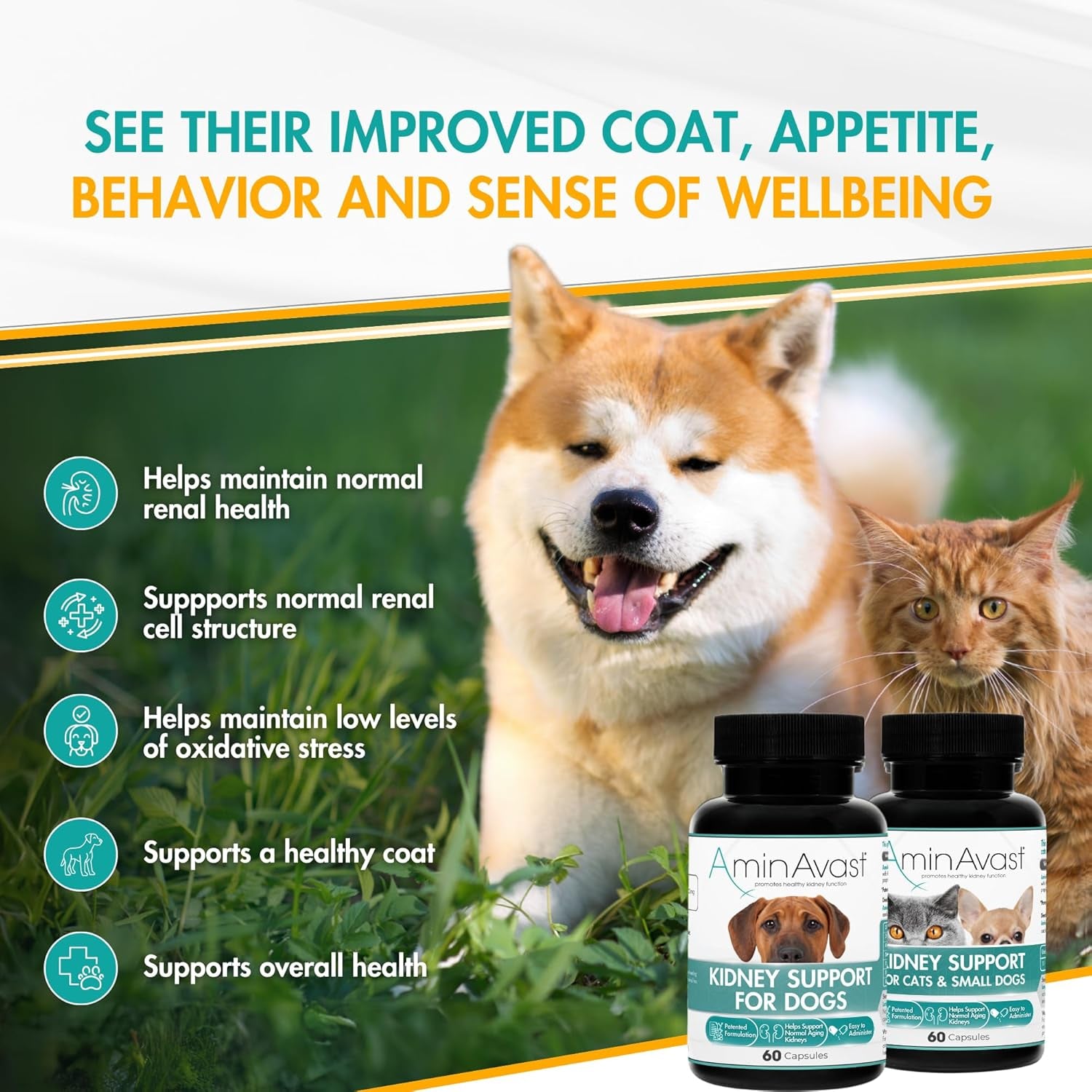 aminavast-300mg-kidney-support-for-cats-small-dogs-60-sprinkle-capsules-feed-directly-or-open-capsules-mix-with-food-amino-acid-and-peptide-blend-for-cats-and-small-dogs-up-to-20lb